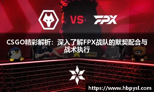 CSGO精彩解析：深入了解FPX战队的默契配合与战术执行
